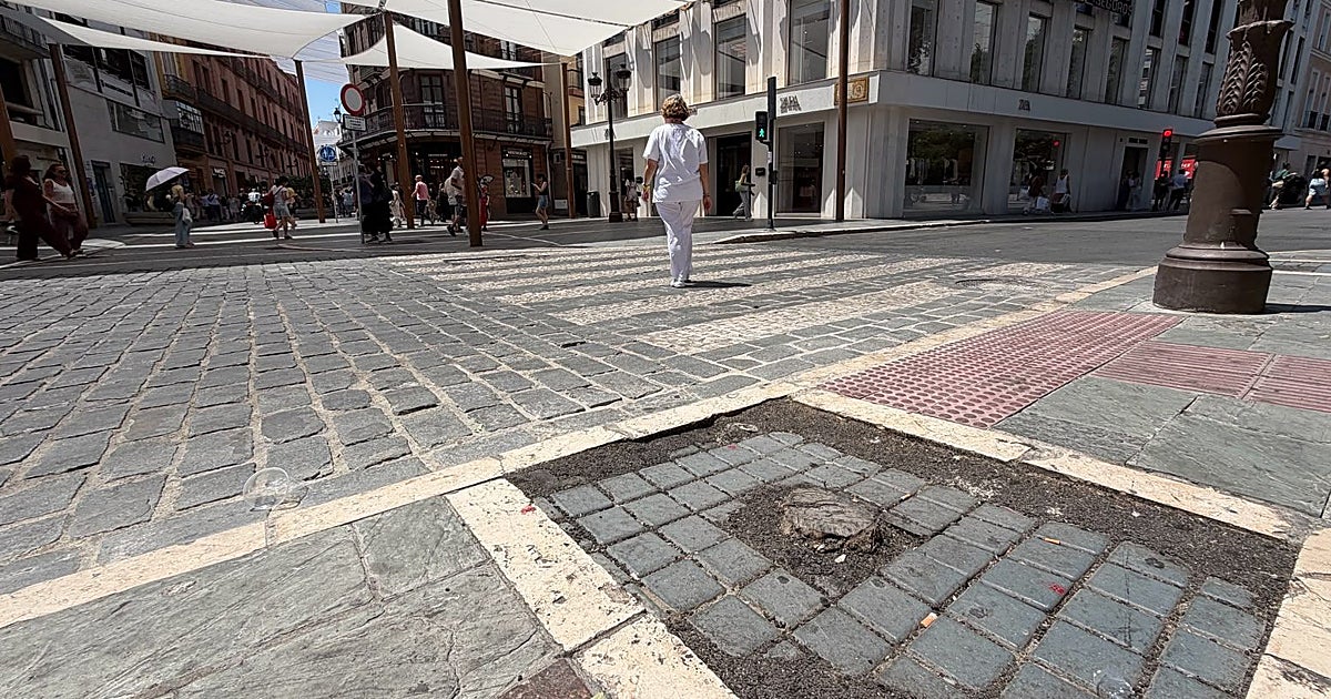 La Campana se queda sin sus árboles por la llegada