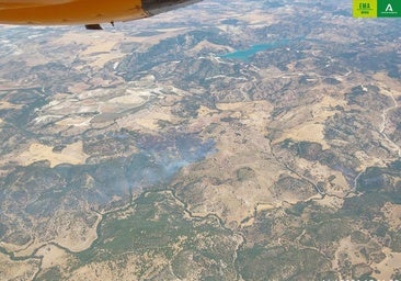 Tres incendios declarados en la misma mañana obligan a desplegar a dos centenares de efectivos en Sevilla