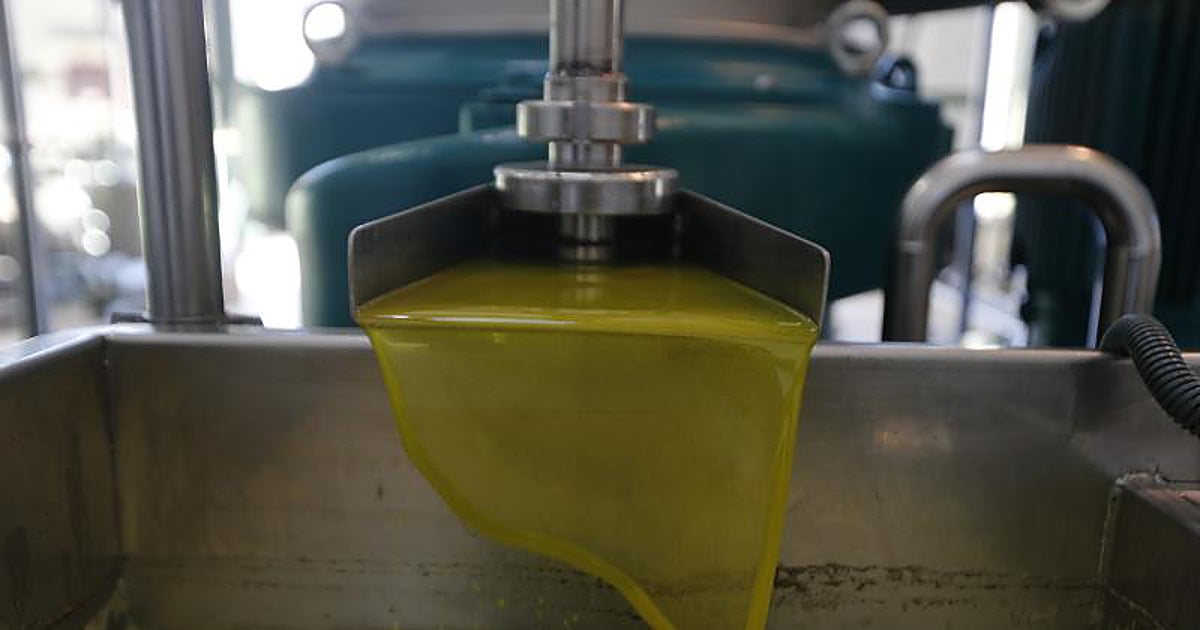 La potencia agraria del sur de Europa tiene carácter  verde 