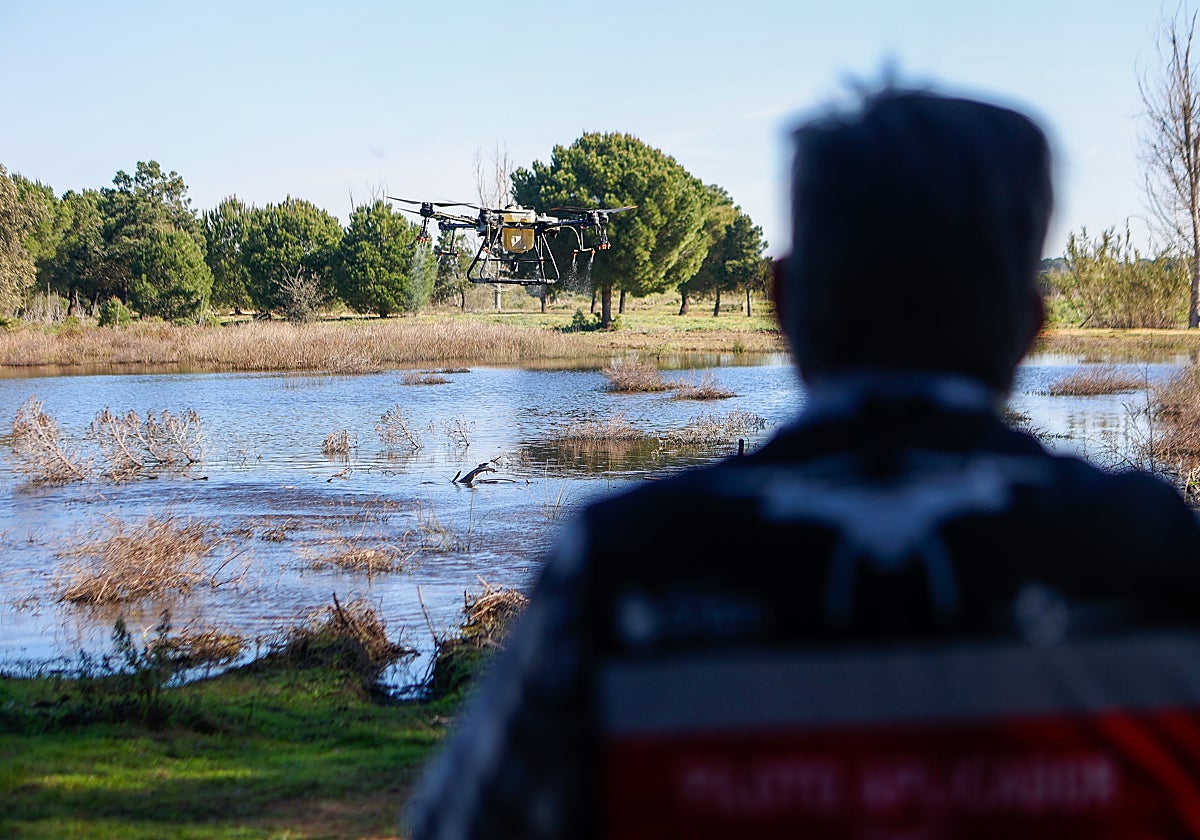 La Junta confirma en Sevilla el primer caso del virus del Nilo en una mujer de Palomares del Río