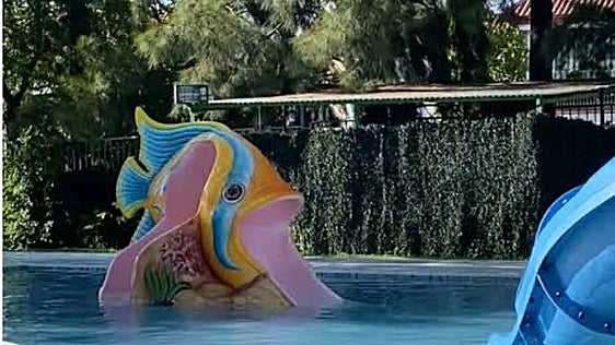 Seis mitos que ponen en riesgo a los niños en playas y piscinas: lo que advierten los pediatras