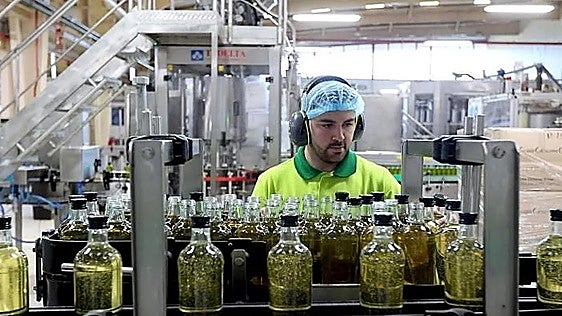 La multinacional Deoleo gana 19,4 millones hasta junio impulsada por la devolución de aranceles de EEUU