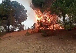 Sofocado el incendio que ha afectado a la A-49 en dirección a Sevilla