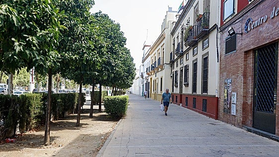 El eterno manto de Penélope de la calle Torneo