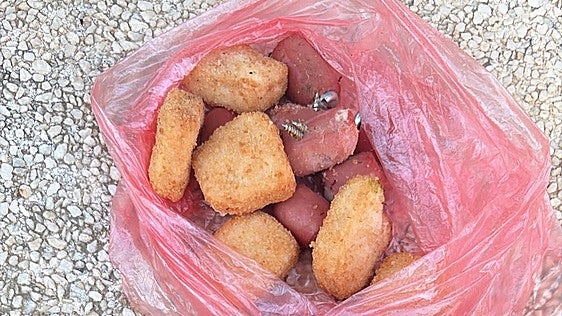 Cierran por cuarta vez un parque en Sevilla Este por las trampas para los perros