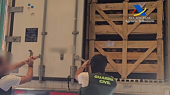 Hallan en Sevilla más de 1.200 kilos de cocaína escondida en cocos