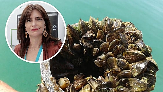Ramoni Sánchez Carmona, experta en mejillón cebra: «Un solo ejemplar puede filtrar hasta 10 litros de agua al día, alterando el ciclo del embalse»