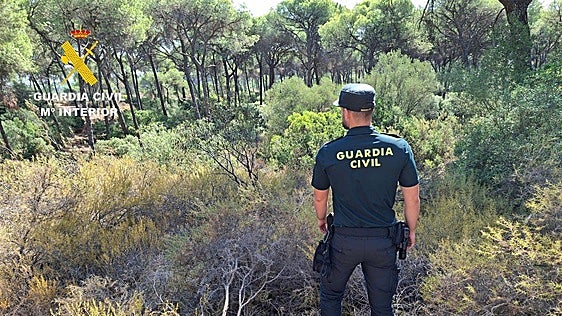 Rescatan a un hombre que llevaba 18 horas herido e incomunicado en un pinar de Aznalcázar