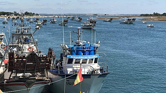 Un pescadero avisa antes de que vayas a comprar: «Hay pescados que van a escasear o incluso estarán más caros»