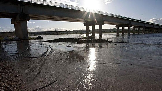 Hallan muerta en el Guadalquivir a la altura de San Juan de Aznalfarache a la vecina desaparecida de Mairena del Aljarafe