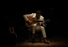 Diego del Morao actuando en la Sala Turina