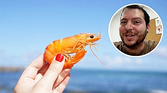 Un experto en plagas avisa: «Cuando chupas la cabeza de una gamba, es como si lo haces a una cucaracha»