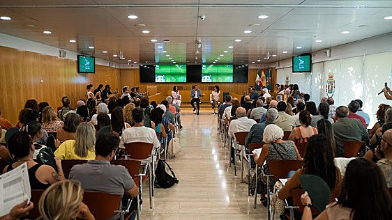 La Diputación de Sevilla destina 1,13 millones a 124 proyectos sociales y culturales