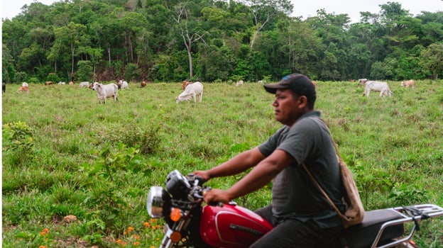 Área deforestada para ganado cerca de Monte Carmelo
