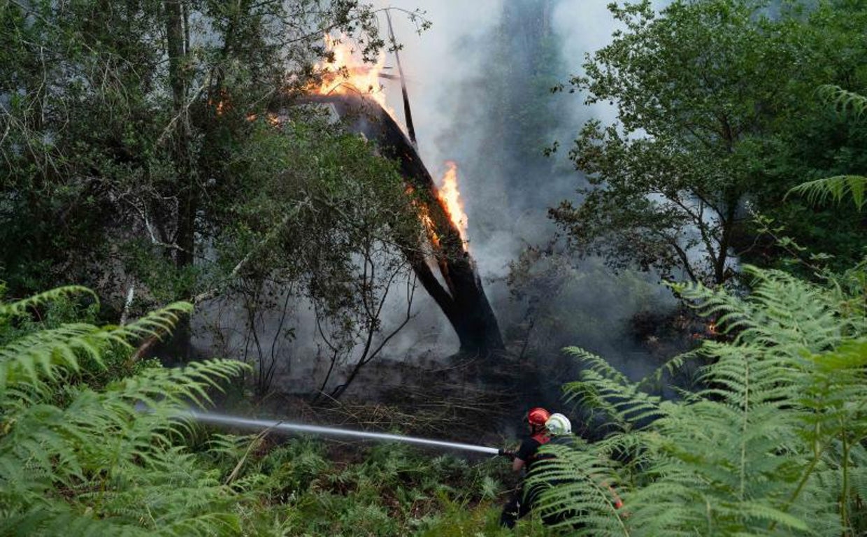 Incendio forestal en Francia