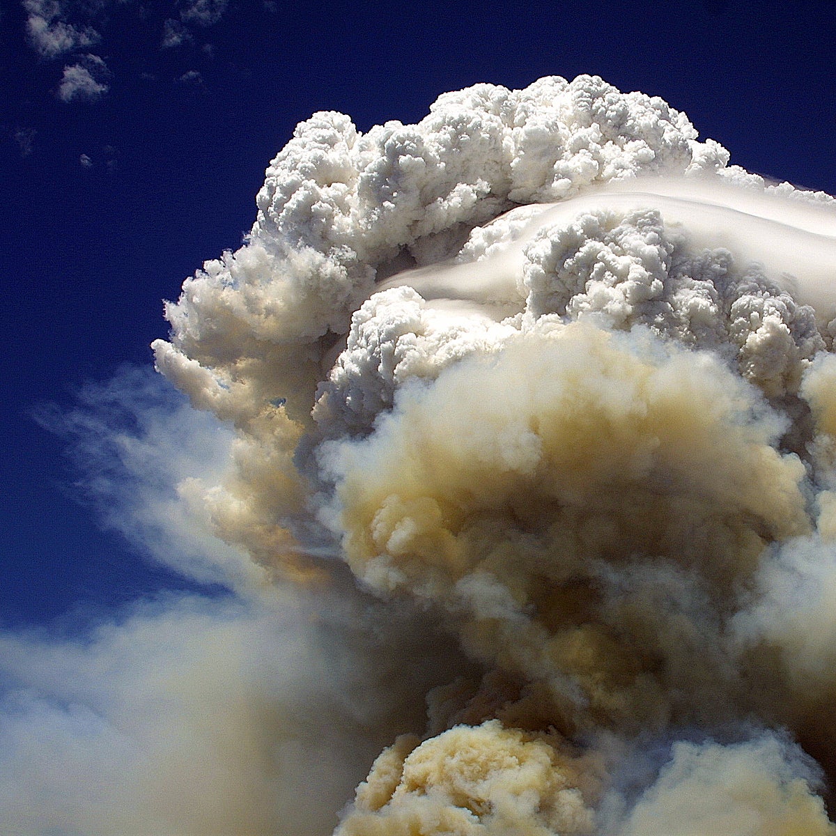 Pirocúmulos, así son las nubes más temidas y peligrosas de los incendios