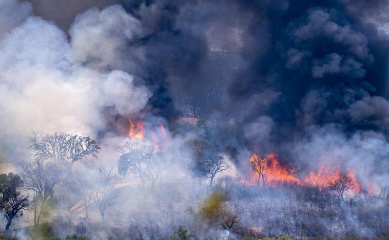 El fuego se ceba con Galicia y sigue su avance sobre Castilla y León, Cáceres y Málaga