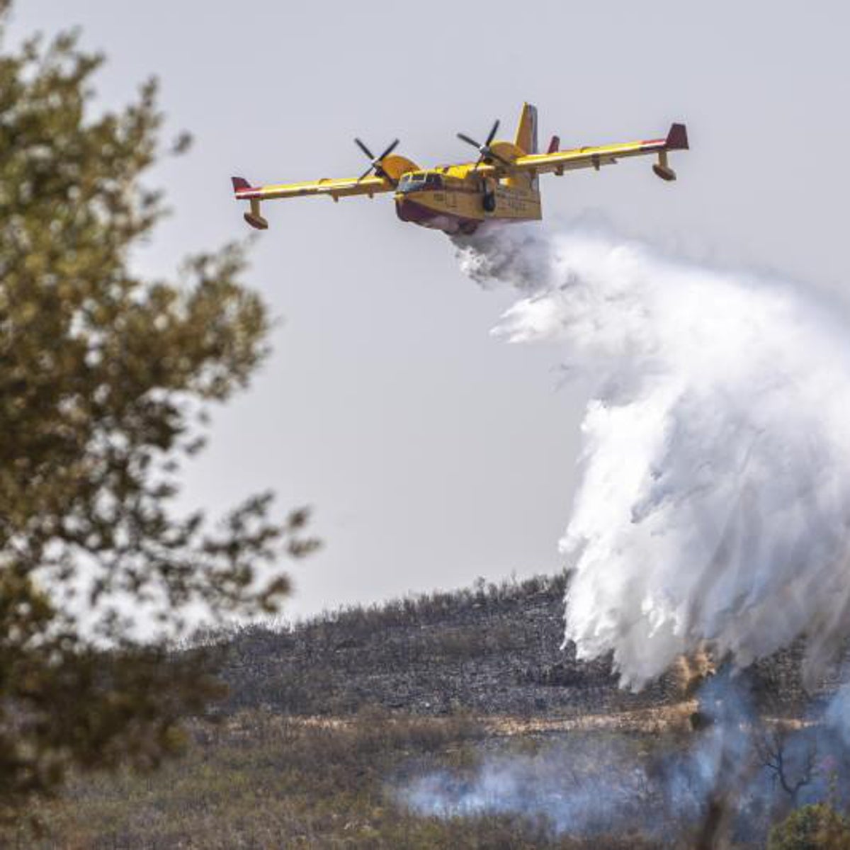 «No habíamos visto nunca en España incendios tan destructivos»