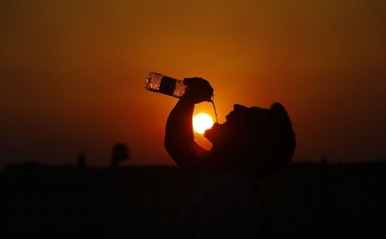 Ola de calor: temperaturas máximas por provincias para el lunes 18 de julio