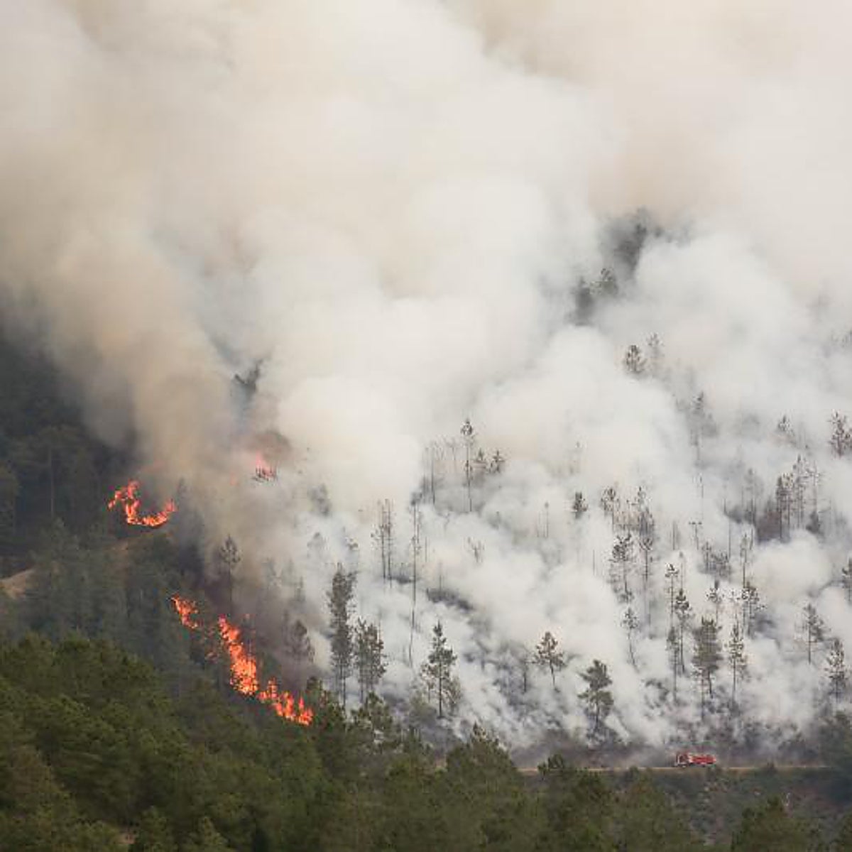 Las llamas devoran cerca de 30.000 hectáreas en solo una semana