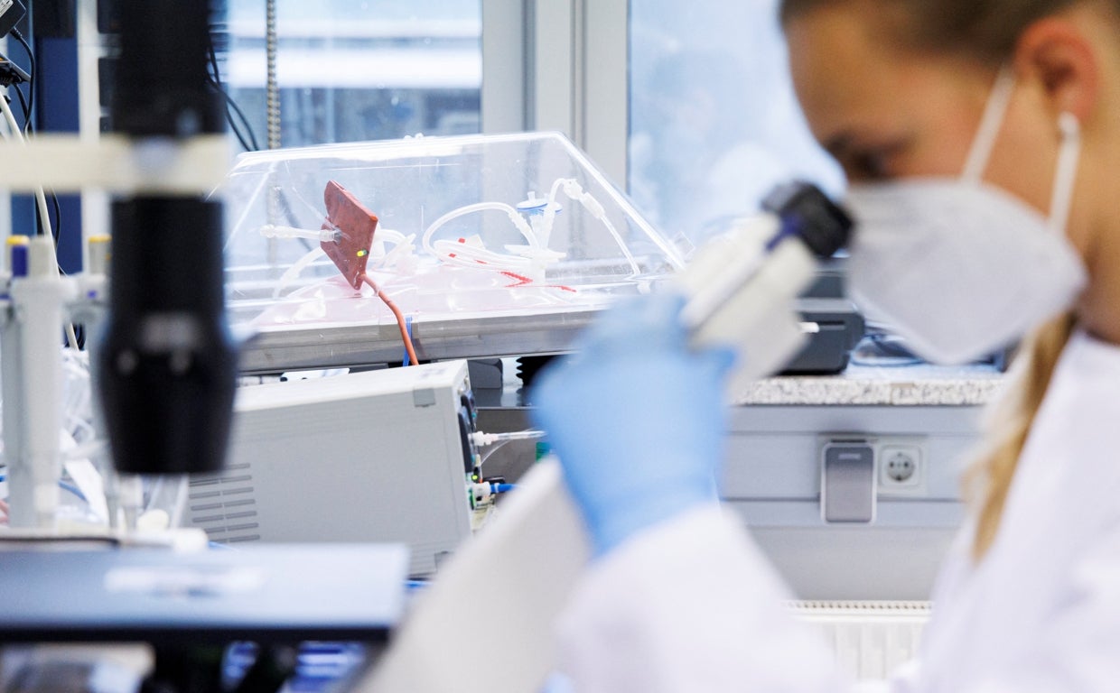 Un laboratorio de la empresa de vacunas Bavarian Nordic