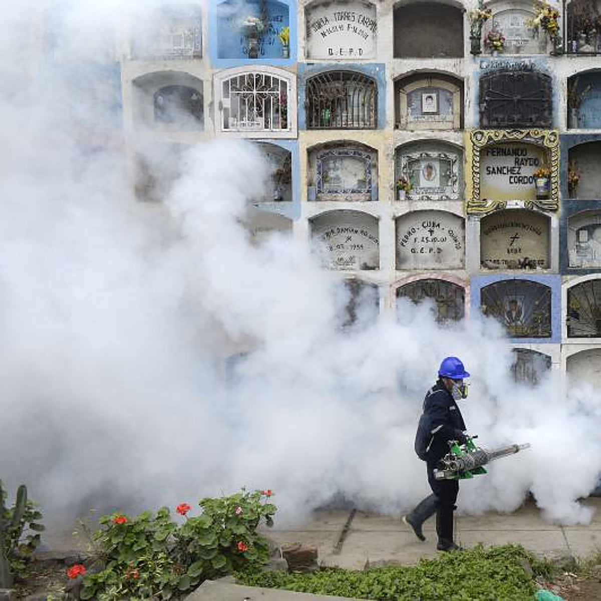 El cambio climático agrava la mayoría de las enfermedades infecciosas