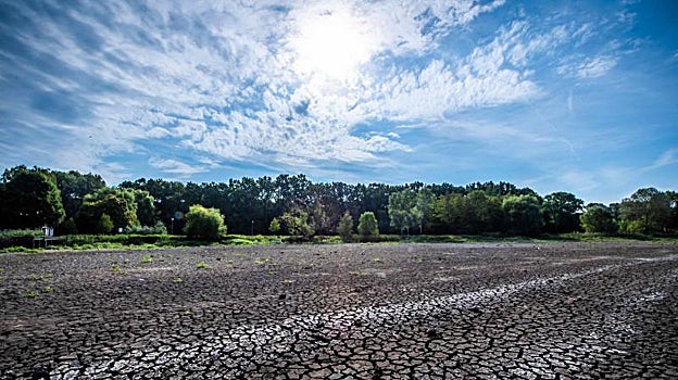 La sequía también deja secos los lagos de Europa. En la imagen, el lago Vekeri, al este del Hungría