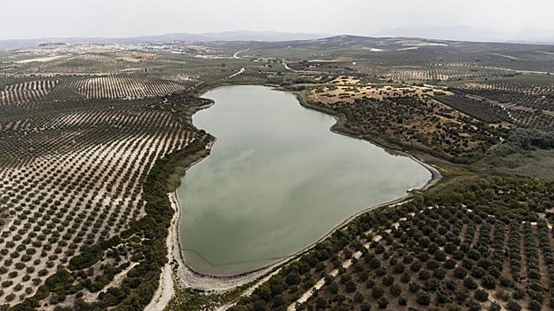 La sequía regresa a las lagunas de Córdoba 27 años después. En la imagen, la de Zóñar