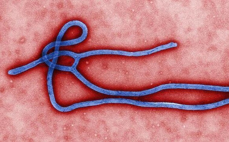 La República Democrática del Congo declara el resurgimiento del ébola en Kivu del Norte