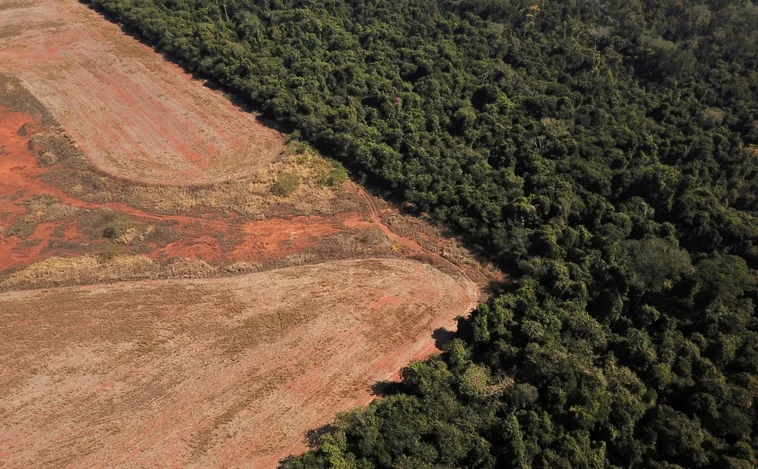 Una parte de la Amazonía lucha contra el reloj, la destrucción irreversible del ecosistema ya es una realidad