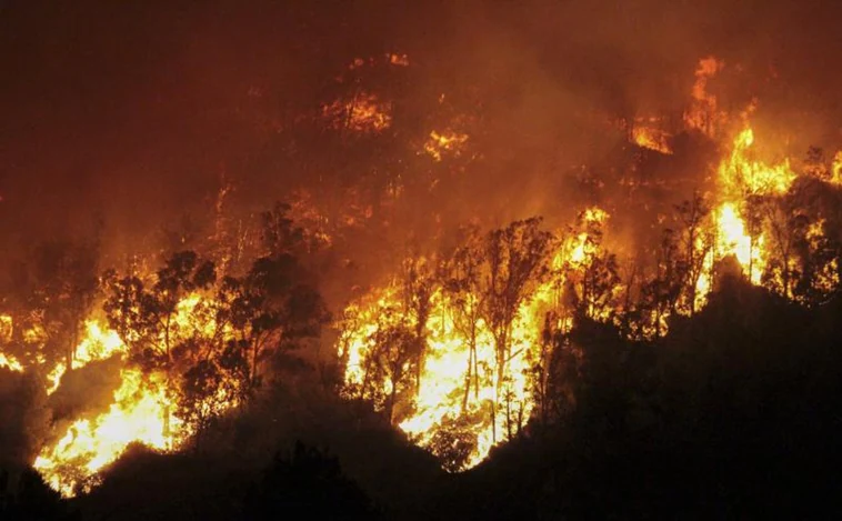 La UME interviene para sofocar el mayor incendio forestal registrado en la historia de Ceuta