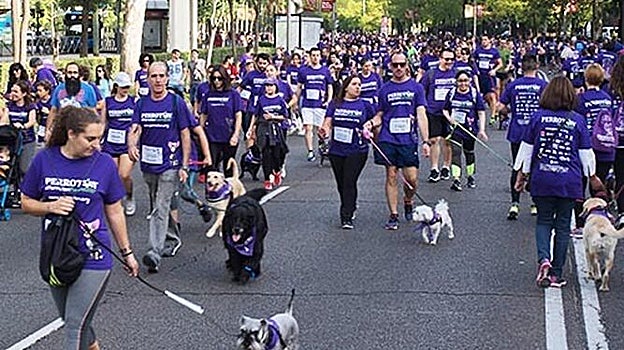 Una edición de Perrotón