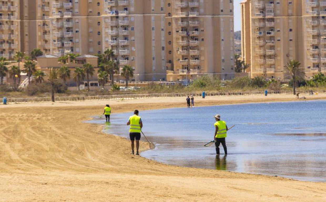 Playa los Alemanes (Manga del mar Menor)