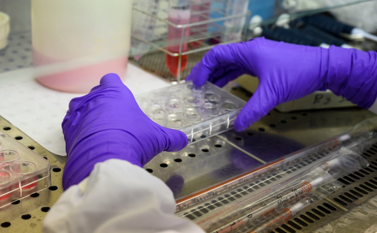 Trabajo en un laboratorio del CNB-CSIC, que presenta una tecnología contra el Covid-19