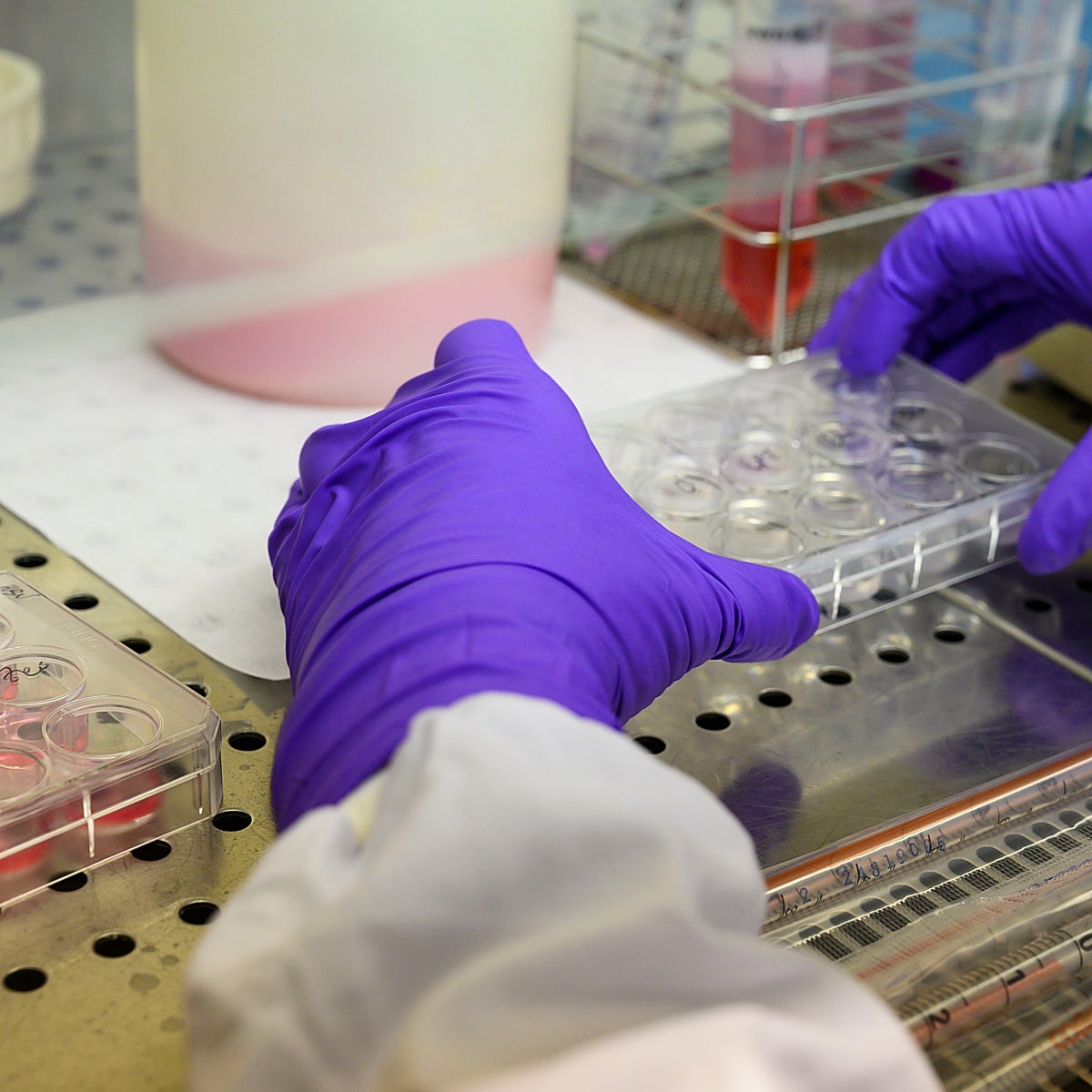 El CSIC presenta un spray nasal y anticuerpos contra el Covid-19