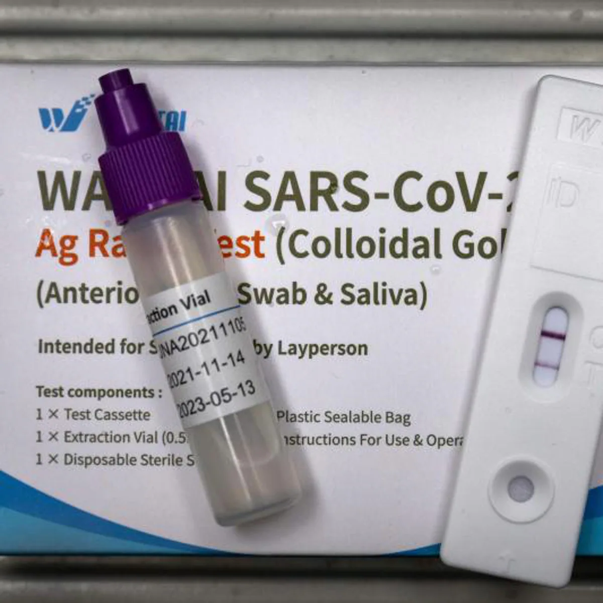 ¿Qué son las variantes 'Scrabble' del coronavirus y por qué preocupan a los expertos?
