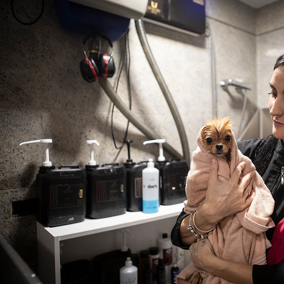 Mascotas: los nuevos 'hijos' cuestan a los españoles 3.000 millones al año