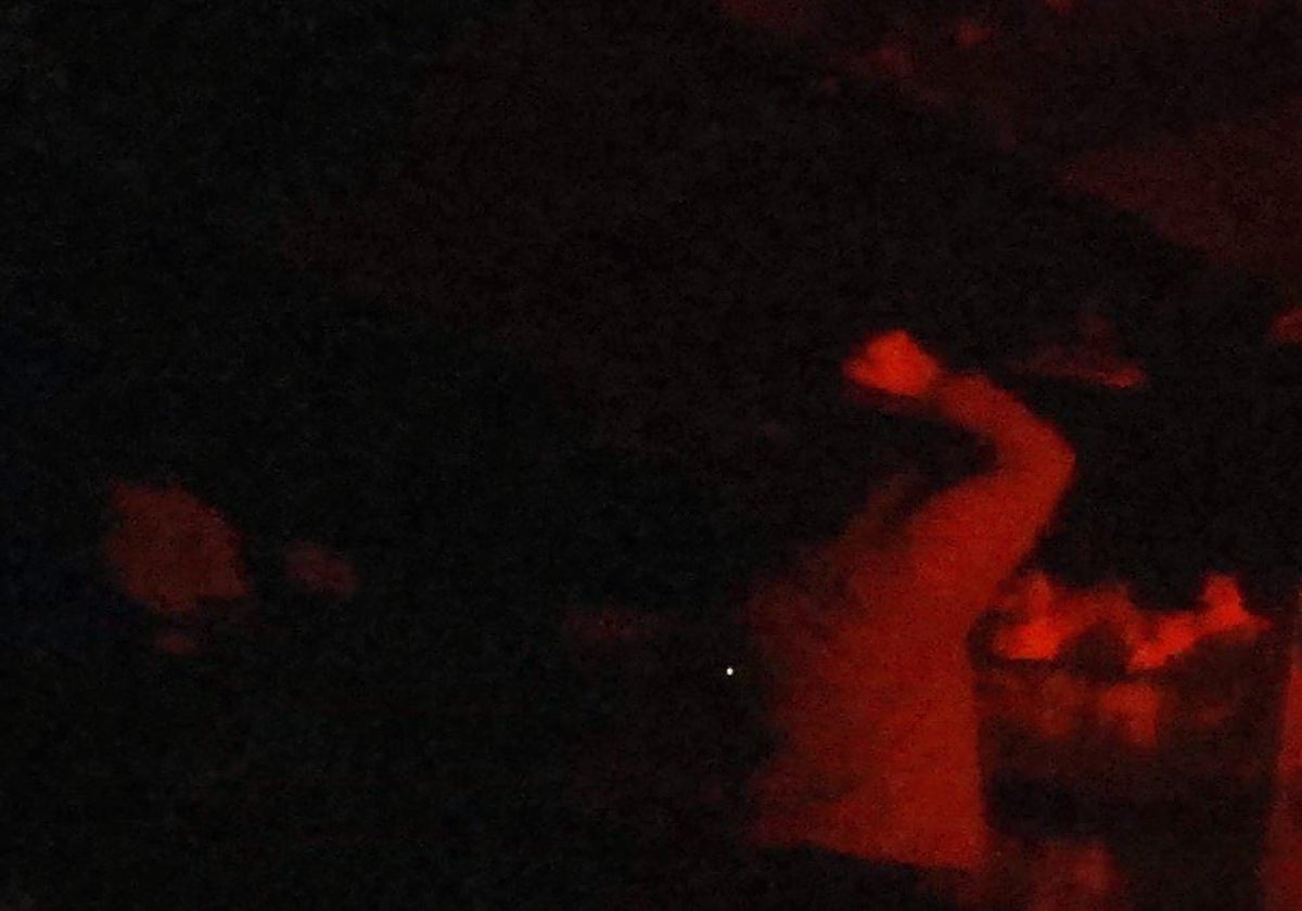 Vídeo: las impactantes imágenes de maltrato animal en dos granjas de pollos españolas. En la foto: un trabajador golpea a uno de los animales