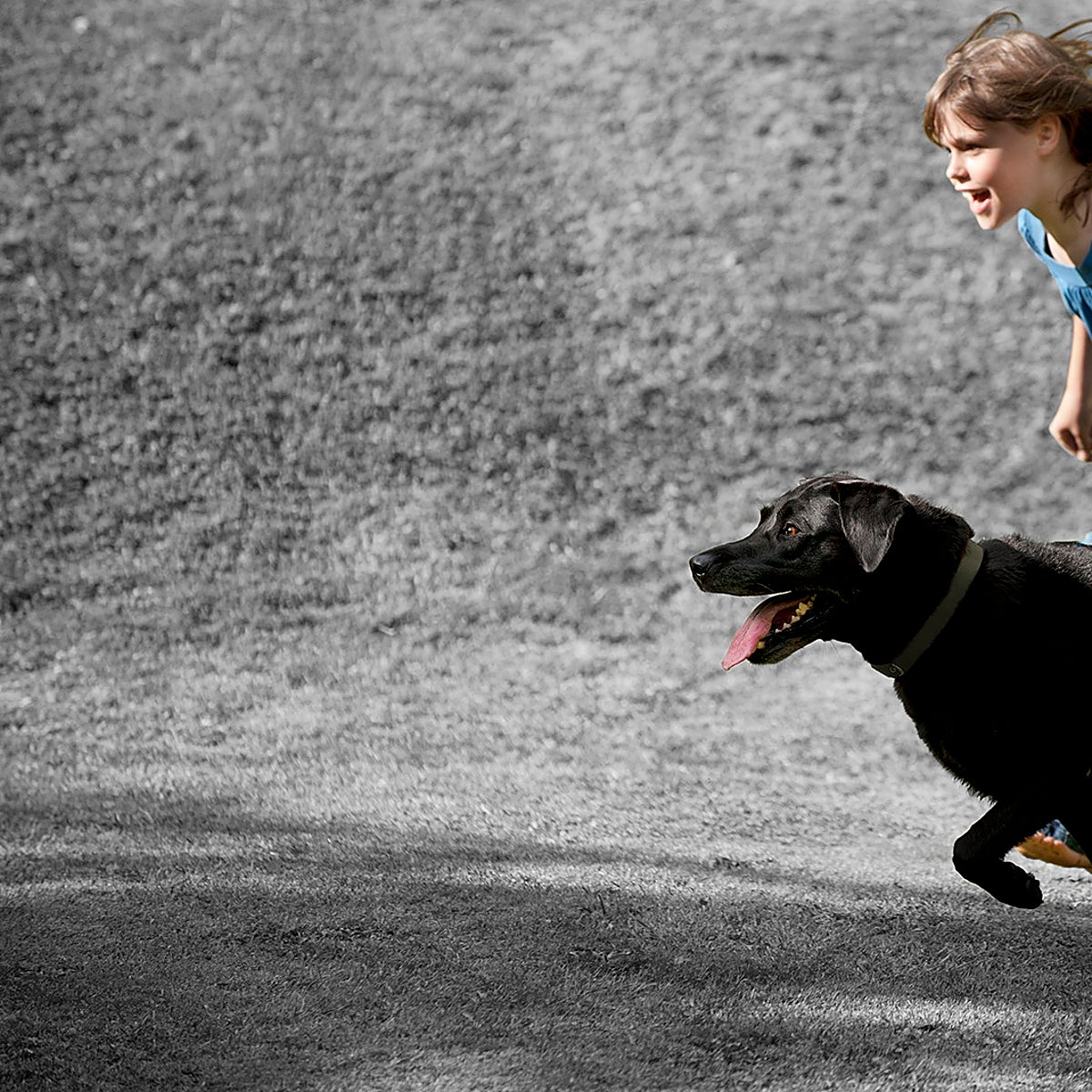El motivo por el que los niños que tienen una mascota aprenden a ser mejores personas