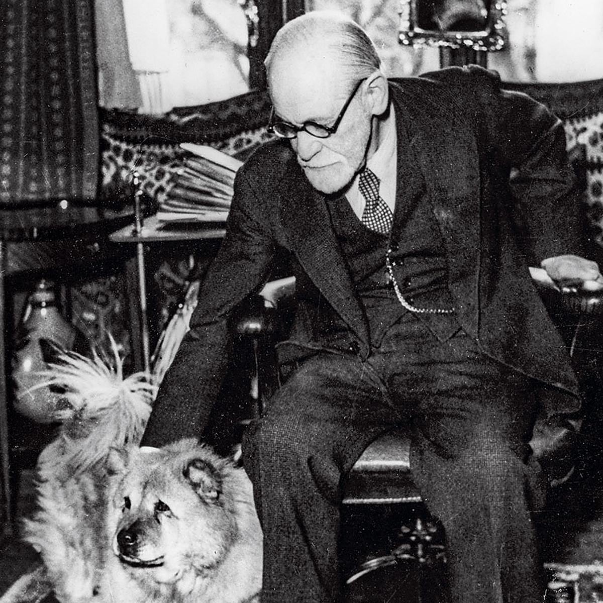 Un simple análisis de sangre podría descubrir el cáncer, el alzhéimer y el párkinson