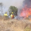 Castilla-La Mancha registra en lo que va de año 725 incendios forestales y 14.337 hectáreas quemadas
