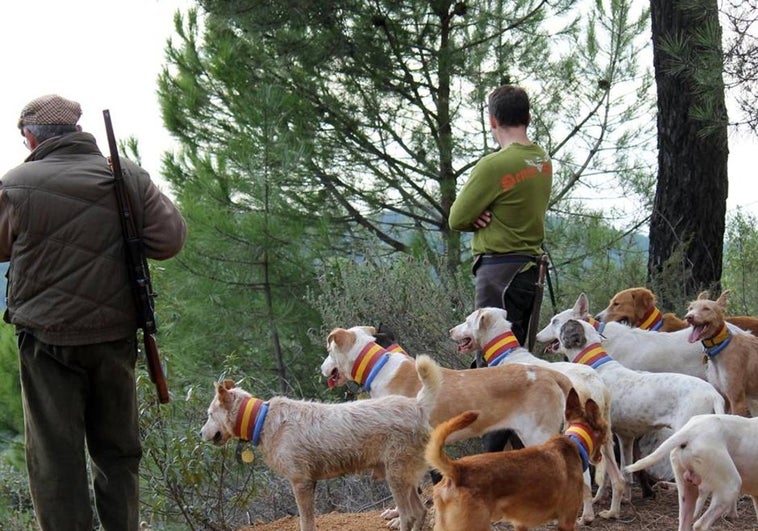 El Congreso da el primer paso para excluir a los perros de caza de la Ley de Bienestar Animal