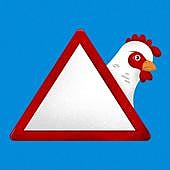 Vuelve el H5N1: el virus aviar que pone de nuevo en vilo al mundo