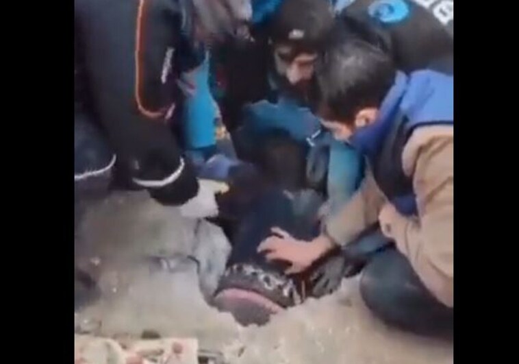 El milagroso rescate de una niña atrapada bajo los escombros tras el terremoto de Turquía