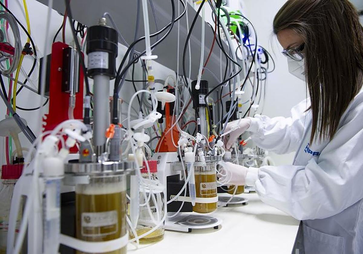 Instalaciones de Hipra en Amer (Gerona)