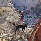 La UME ayuda al milagro de Fatma y Merve