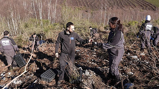 Plantación de frutales en Páramo del Sil