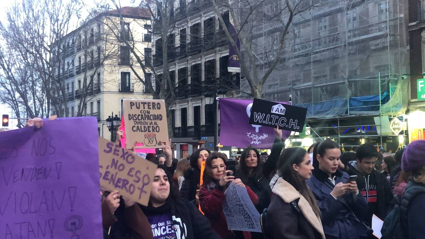 Un aspecto de la manifestación alternativa de Madrid