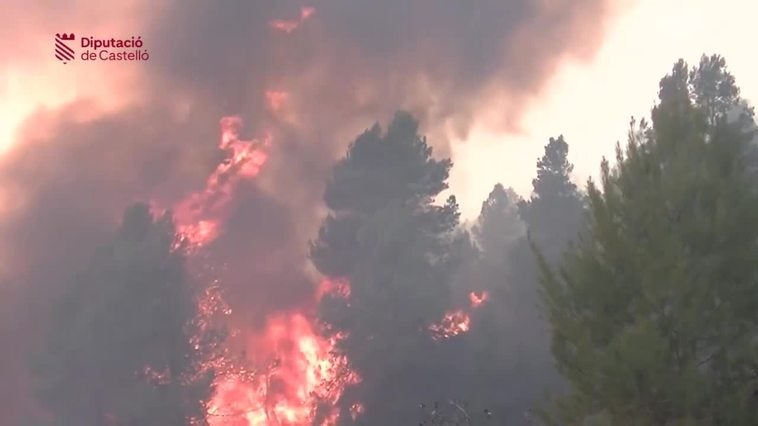 El fuego quema hasta ahora unas mil hectáreas en las provincias de Teruel y Castellón