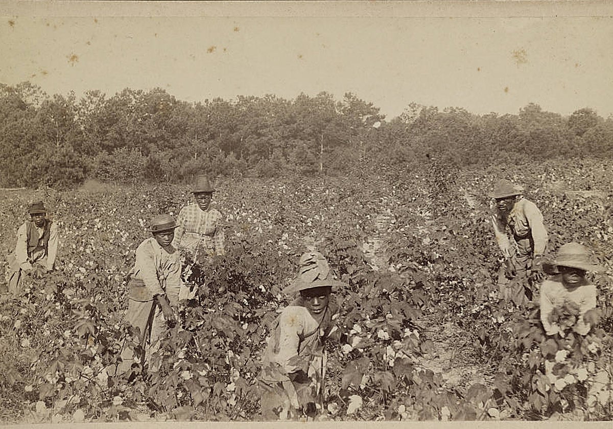 Plantación de algodón en el estado de Georgia durante la segunda mitad del siglo XIX